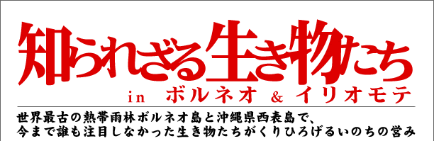�m��ꂴ�鐶��������